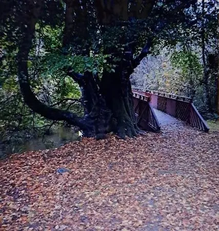 Shore View Apartamento Letterkenny