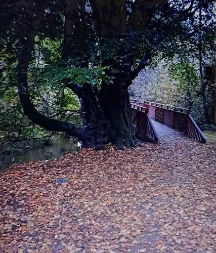 Shore View Apartamento Letterkenny